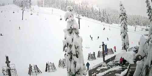 LIVE: Alpental Base Ski Resort - Seattle