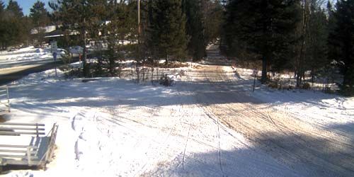 Forest trail for snowmobiling and ATV riding webcam - Land O' Lakes