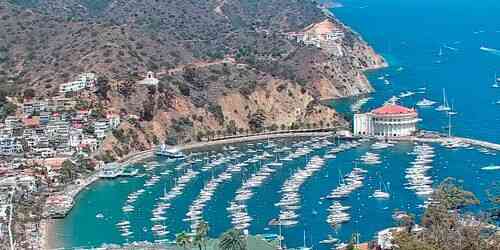 LIVE: Avalon Harbor on Catalina Island - Los Angeles