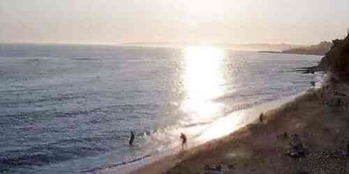 LIVE: Avencas Beach - Parede