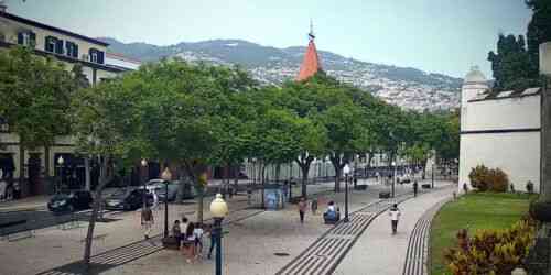 LIVE: Avenida Arriaga in Funchal - Madeira