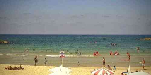 LIVE: Aviv Beach - Tel Aviv
