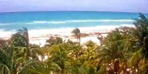 LIVE: Beach Hotel Viva Wyndham Azteca - Playa del Carmen