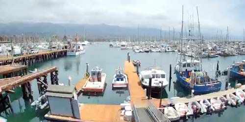 Berths with boats and yachts live cam