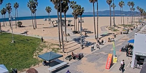 Promenade de la plage de Venise webcam - Los Angeles