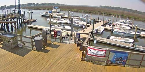 Place d'amarrage avec des bateaux webcam - Savannah