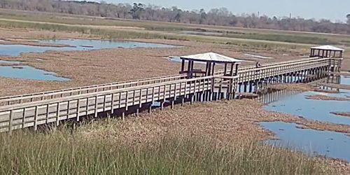Cattail Marsh Scenic Wetlands & Boardwalk webcam - Beaumont