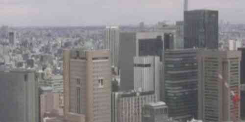 LIVE: Chiyoda Ward Office - Tokyo