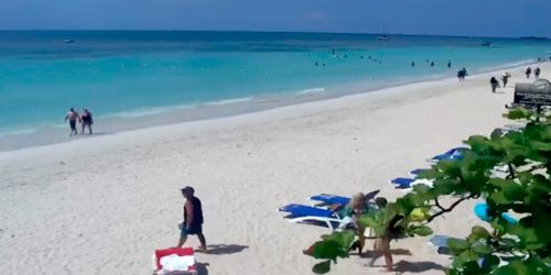 La plage de Coco La Palm webcam - Negril