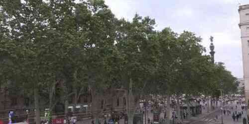 LIVE: Columbus Monument - Barcelona