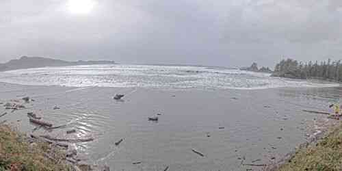 LIVE: Cox Bay Beach - Tofino
