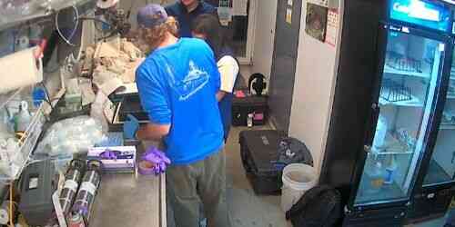 LIVE: Life of the crew on the ship - New London