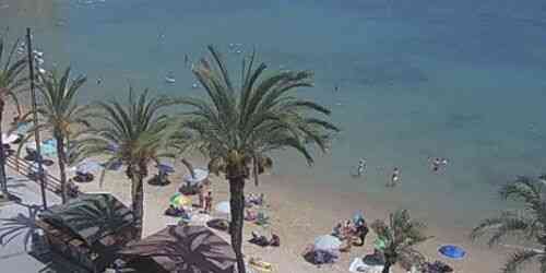 LIVE: Cura Beach - Torrevieja