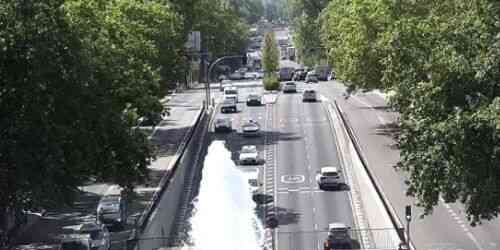 LIVE: Dolphin Fountain - Madrid
