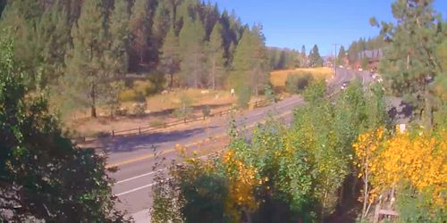 Traffic on Donner Pass Rd, view of Villager Nursery Webcam