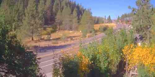 Traffic on Donner Pass Rd, view of Villager Nursery Webcam