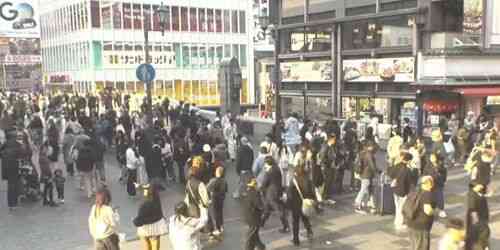 LIVE: Dotonbori - Osaka