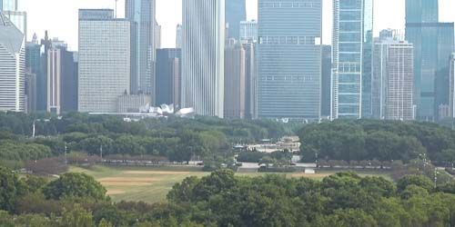 Centro, vista de los Rascacielos webcam - Chicago