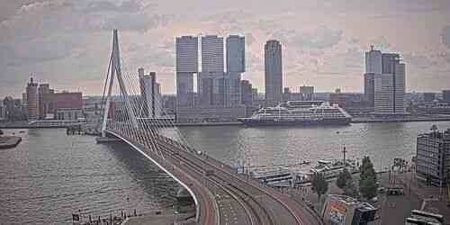 LIVE: Erasmus Bridge - Rotterdam