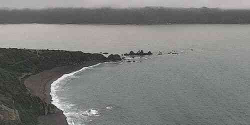 LIVE: Eve Bay - Wellington