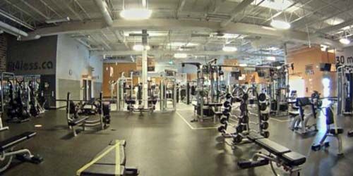 Fitness and weightlifting room webcam - Toronto