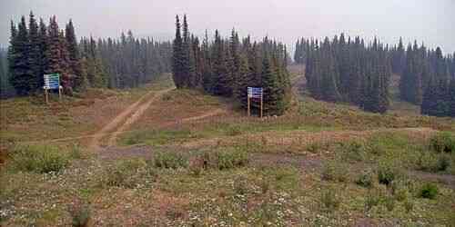 LIVE: Silver Star ski slopes in the resort dense forest - Vernon