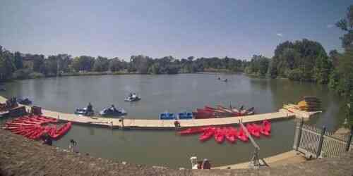 LIVE: Forest Park - Saint-Louis