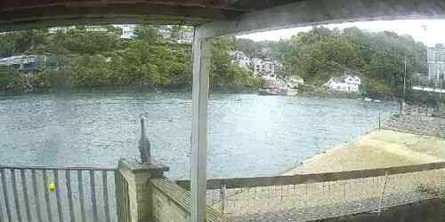 LIVE: Fowey River - Fowey