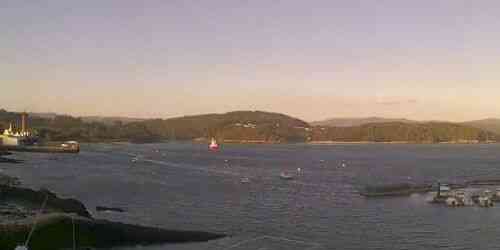 LIVE: Freixo Sports Port - Noia