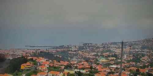 LIVE: Funchal City Panorama - Madeira