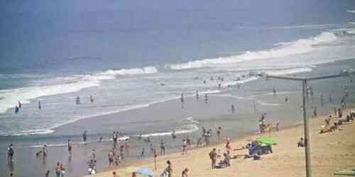 LIVE: Furadouro Beach - Santa Maria da Feira