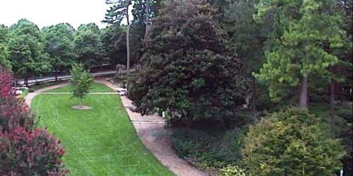 Jardin des azalées WRAL webcam - Raleigh