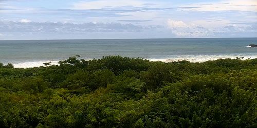 Guiones Beach, PTZ on the coast webcam - Tamarindo