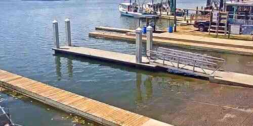 LIVE: Aransas Pass Harbor Park - Corpus Christi