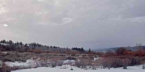 LIVE: Hatchet Resort - Moran