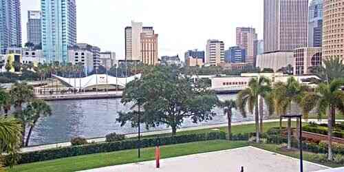 LIVE: Hillsborough River, Curtis Hixon Waterfront Park - Tampa