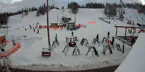LIVE: Hilltop Ski Area Ski Resort - Anchorage