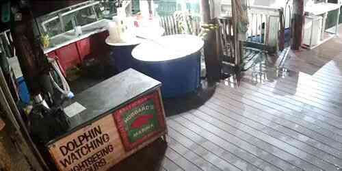 LIVE: Hubbard’s Marina Dock on Madeira Beach - St. Petersburg