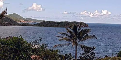 Jungle sur la côte webcam - Cruz Bay