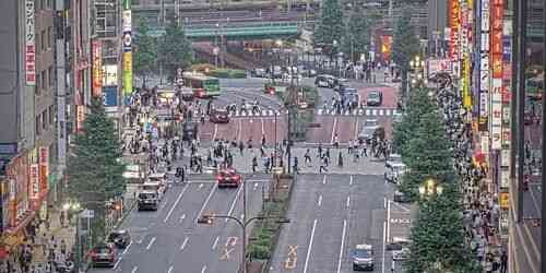 LIVE: Kabukicho Crossing - Tokyo