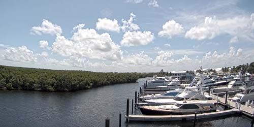 Marina with yachts in Key Largo Webcam