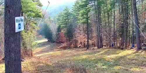 LIVE: King Pine - Conway