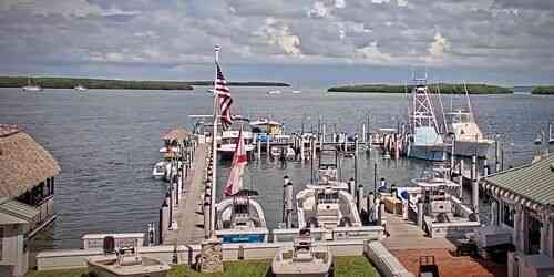 LIVE: Little Basin Islamorada - Miami