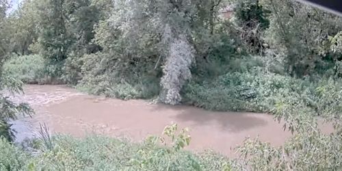 Río Lynde Creek Webcam