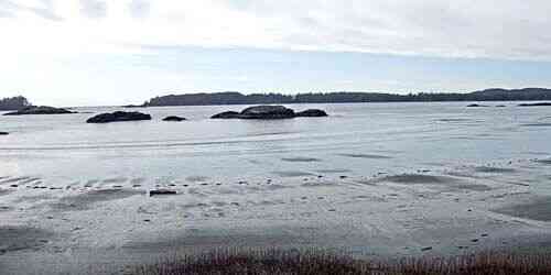 Ocean Village Beach Resort - Playa MacKenzie webcam - Tofino