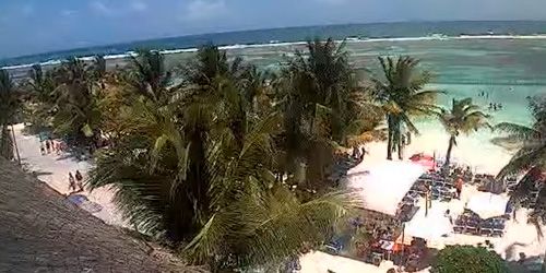 Palmeras y playas en la costa de Mahahual webcam - Chetumal