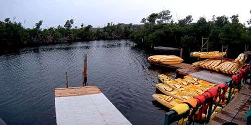 Laguna de Manglares Webcam