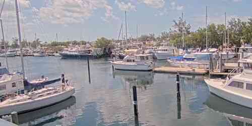 LIVE: Safe Harbour Marina - Key West