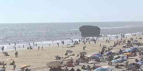 LIVE: Matalascanas Plug - Almonte