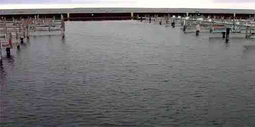 LIVE: Menominee Marina - Crivitz